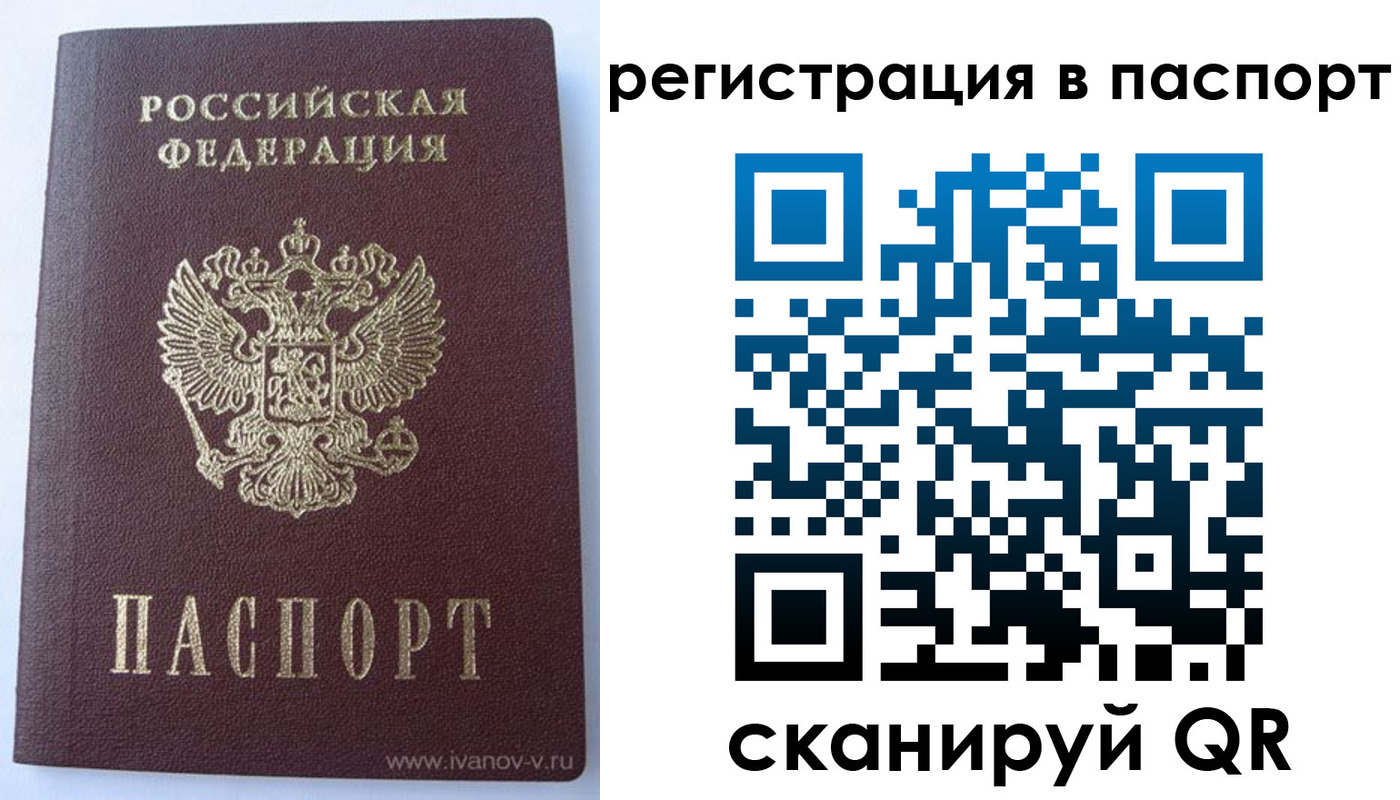 прописка поиск в Ермолино